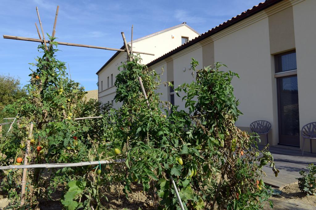 Il Gallo Senone 4* Senigallia