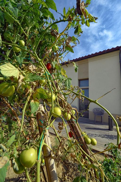 Il Gallo Senone Resort 4*