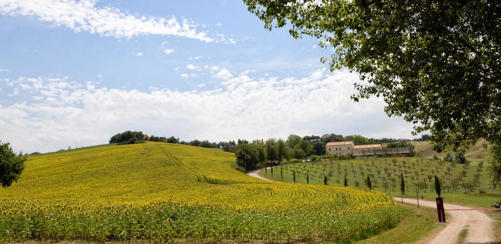 Il Gallo Senone Resort 4*